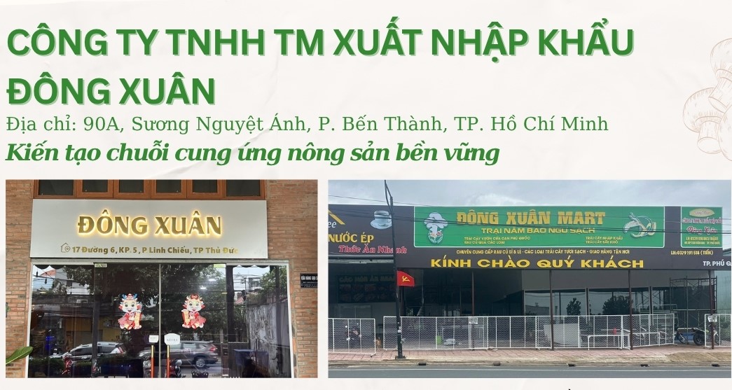 Cty Đông Xuân